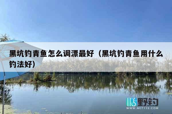 黑坑钓青鱼怎么调漂最好（黑坑钓青鱼用什么钓法好）