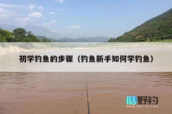 初学钓鱼的步骤（钓鱼新手如何学钓鱼）