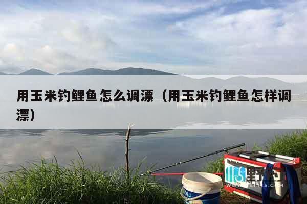 用玉米钓鲤鱼怎么调漂（用玉米钓鲤鱼怎样调漂）