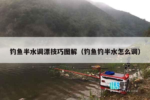 钓鱼半水调漂技巧图解（钓鱼钓半水怎么调）
