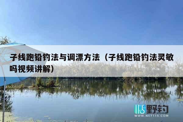 子线跑铅钓法与调漂方法（子线跑铅钓法灵敏吗视频讲解）