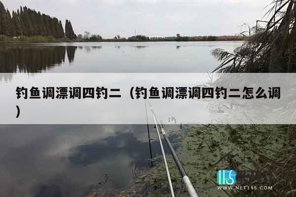 钓鱼调漂调四钓二（钓鱼调漂调四钓二怎么调）