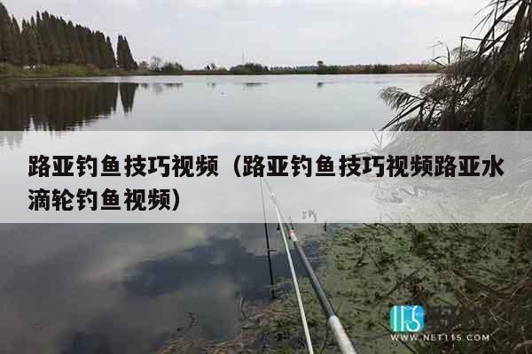 路亚钓鱼技巧视频（路亚钓鱼技巧视频路亚水滴轮钓鱼视频）