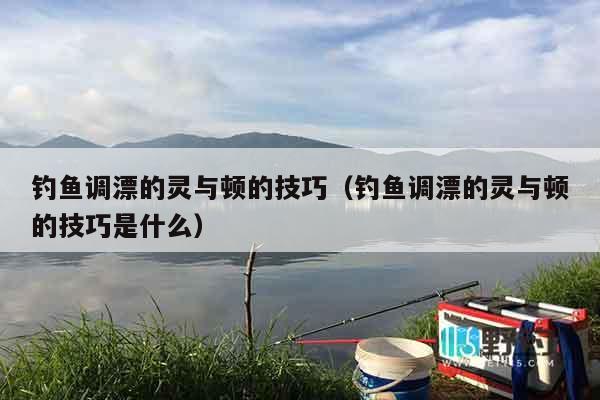 钓鱼调漂的灵与顿的技巧（钓鱼调漂的灵与顿的技巧是什么）