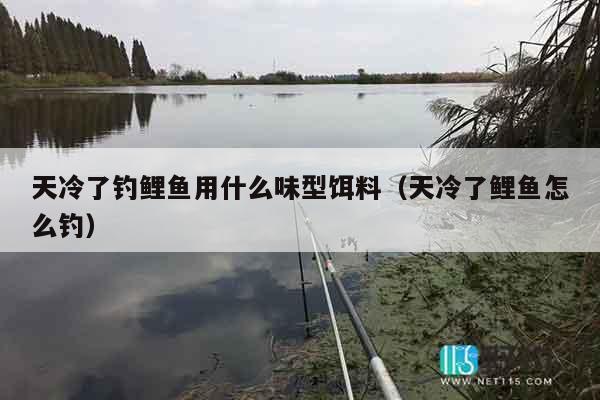 天冷了钓鲤鱼用什么味型饵料（天冷了鲤鱼怎么钓）