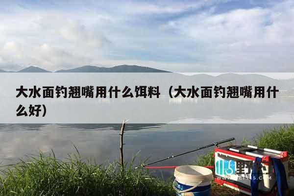 大水面钓翘嘴用什么饵料（大水面钓翘嘴用什么好）