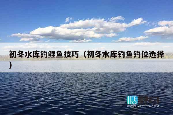 初冬水库钓鲤鱼技巧（初冬水库钓鱼钓位选择）
