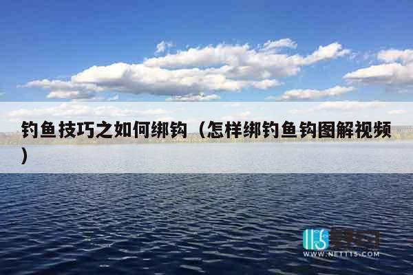 钓鱼技巧之如何绑钩（怎样绑钓鱼钩图解视频）