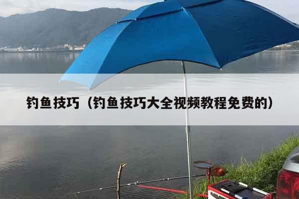 钓鱼技巧（钓鱼技巧大全视频教程免费的）