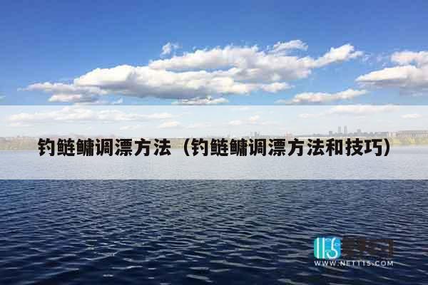 钓鲢鳙调漂方法（钓鲢鳙调漂方法和技巧）