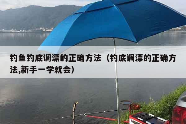 钓鱼钓底调漂的正确方法（钓底调漂的正确方法,新手一学就会）