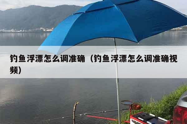 钓鱼浮漂怎么调准确（钓鱼浮漂怎么调准确视频）