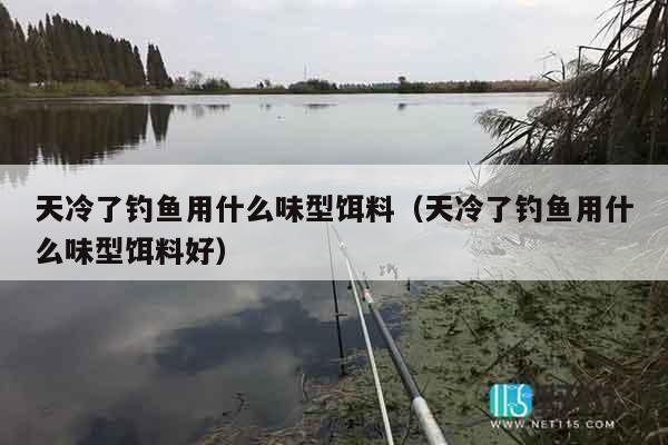 天冷了钓鱼用什么味型饵料（天冷了钓鱼用什么味型饵料好）