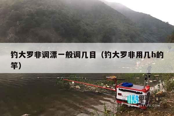 钓大罗非调漂一般调几目（钓大罗非用几h的竿）
