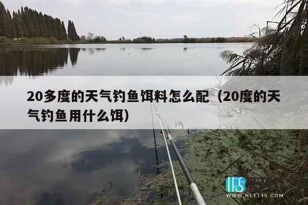 20多度的天气钓鱼饵料怎么配（20度的天气钓鱼用什么饵）