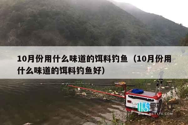 10月份用什么味道的饵料钓鱼（10月份用什么味道的饵料钓鱼好）