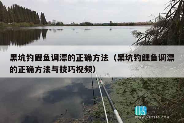 黑坑钓鲤鱼调漂的正确方法（黑坑钓鲤鱼调漂的正确方法与技巧视频）
