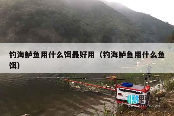 钓海鲈鱼用什么饵最好用（钓海鲈鱼用什么鱼饵）