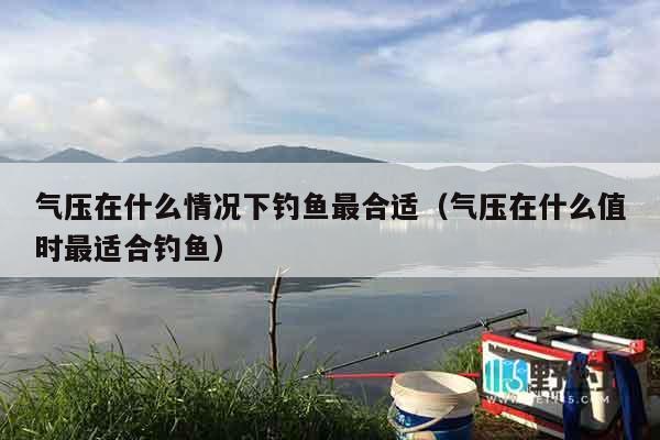 气压在什么情况下钓鱼最合适（气压在什么值时最适合钓鱼）