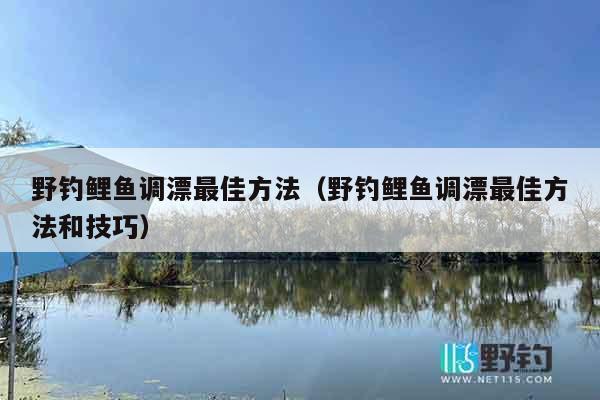 野钓鲤鱼调漂最佳方法（野钓鲤鱼调漂最佳方法和技巧）