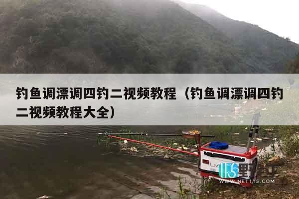 钓鱼调漂调四钓二视频教程（钓鱼调漂调四钓二视频教程大全）