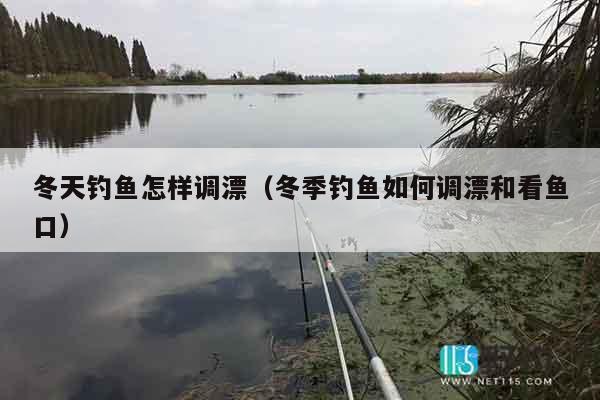 冬天钓鱼怎样调漂（冬季钓鱼如何调漂和看鱼口）