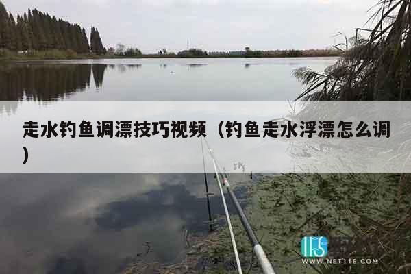 走水钓鱼调漂技巧视频（钓鱼走水浮漂怎么调）