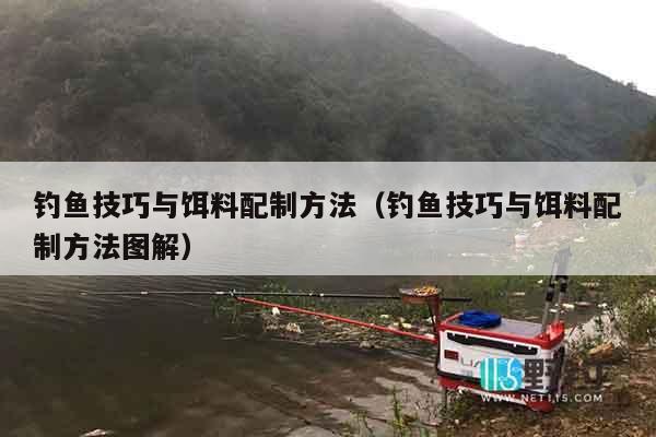 钓鱼技巧与饵料配制方法（钓鱼技巧与饵料配制方法图解）