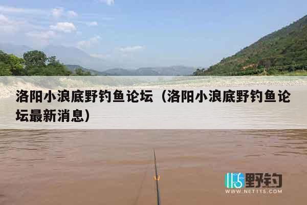 洛阳小浪底野钓鱼论坛（洛阳小浪底野钓鱼论坛最新消息）