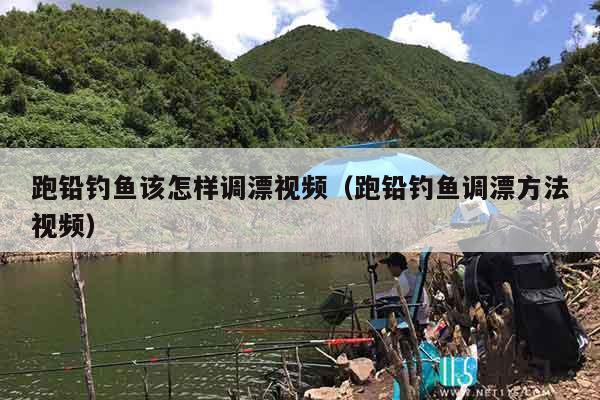 跑铅钓鱼该怎样调漂视频（跑铅钓鱼调漂方法视频）