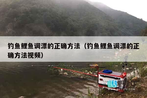 钓鱼鲤鱼调漂的正确方法（钓鱼鲤鱼调漂的正确方法视频）