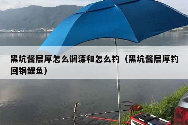 黑坑酱层厚怎么调漂和怎么钓（黑坑酱层厚钓回锅鲤鱼）