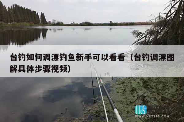 台钓如何调漂钓鱼新手可以看看（台钓调漂图解具体步骤视频）