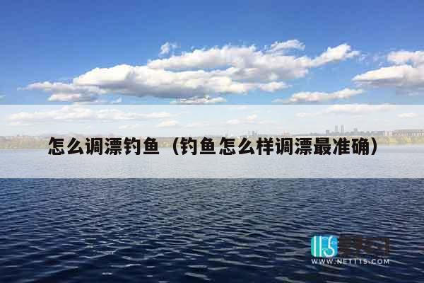 怎么调漂钓鱼（钓鱼怎么样调漂最准确）