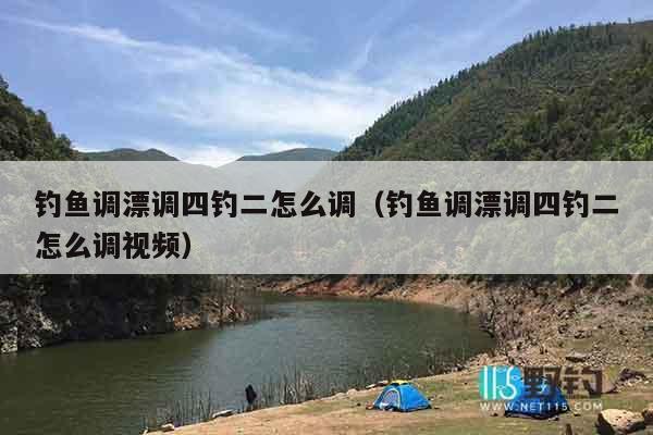 钓鱼调漂调四钓二怎么调（钓鱼调漂调四钓二怎么调视频）