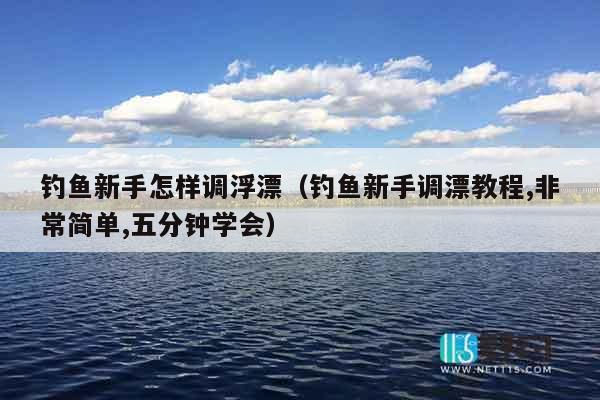 钓鱼新手怎样调浮漂（钓鱼新手调漂教程,非常简单,五分钟学会）