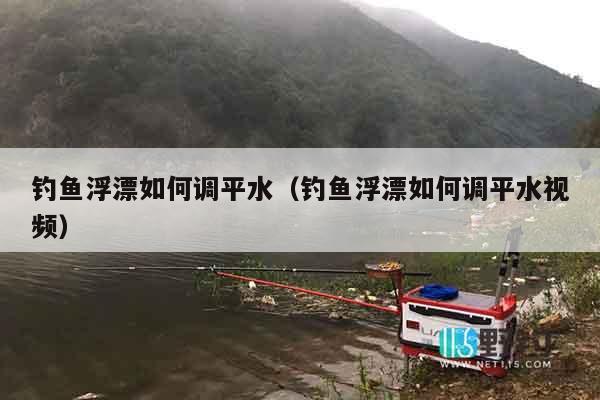 钓鱼浮漂如何调平水（钓鱼浮漂如何调平水视频）