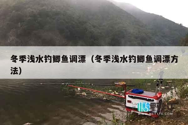 冬季浅水钓鲫鱼调漂（冬季浅水钓鲫鱼调漂方法）