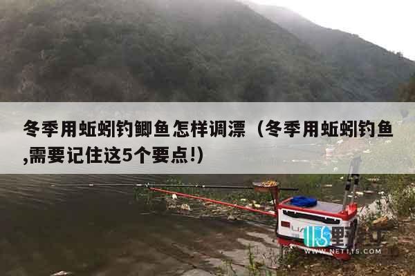 冬季用蚯蚓钓鲫鱼怎样调漂（冬季用蚯蚓钓鱼,需要记住这5个要点!）