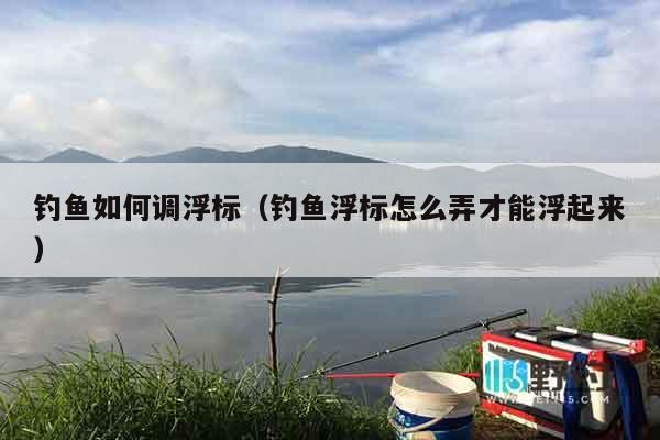 钓鱼如何调浮标（钓鱼浮标怎么弄才能浮起来）