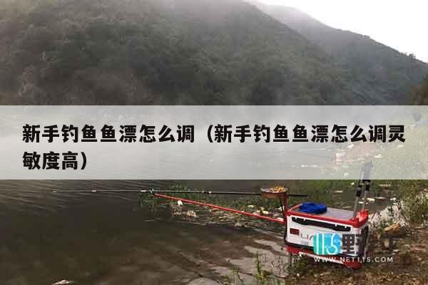 新手钓鱼鱼漂怎么调（新手钓鱼鱼漂怎么调灵敏度高）
