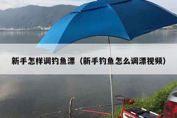 新手怎样调钓鱼漂（新手钓鱼怎么调漂视频）