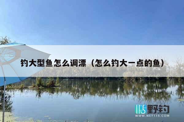 钓大型鱼怎么调漂（怎么钓大一点的鱼）