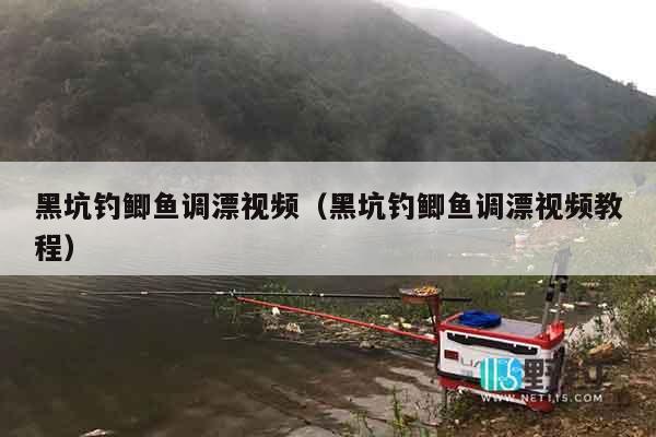 黑坑钓鲫鱼调漂视频（黑坑钓鲫鱼调漂视频教程）