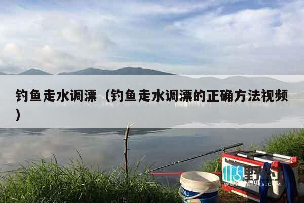 钓鱼走水调漂（钓鱼走水调漂的正确方法视频）