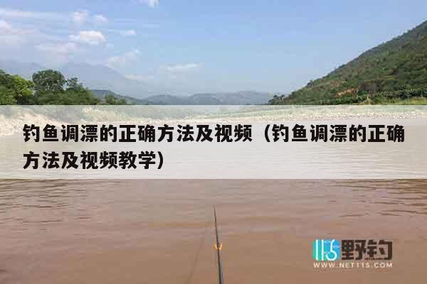 钓鱼调漂的正确方法及视频（钓鱼调漂的正确方法及视频教学）