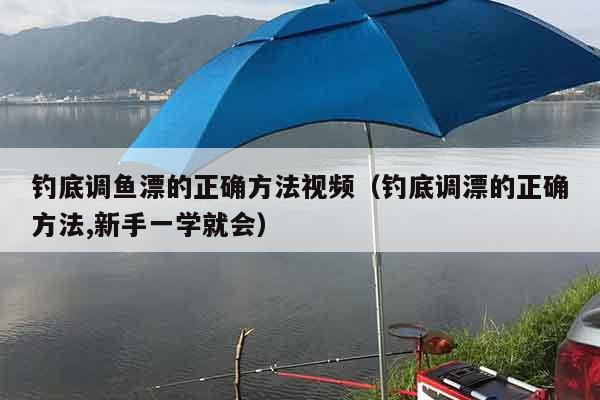 钓底调鱼漂的正确方法视频（钓底调漂的正确方法,新手一学就会）