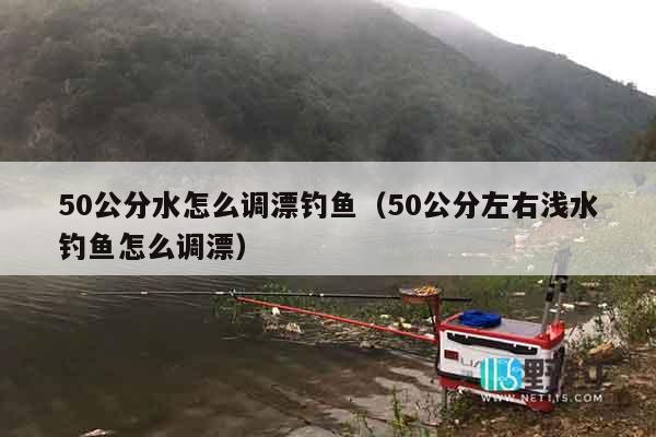 50公分水怎么调漂钓鱼（50公分左右浅水钓鱼怎么调漂）
