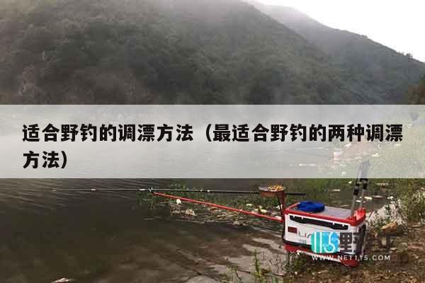 适合野钓的调漂方法（最适合野钓的两种调漂方法）