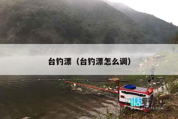 台钓漂（台钓漂怎么调）